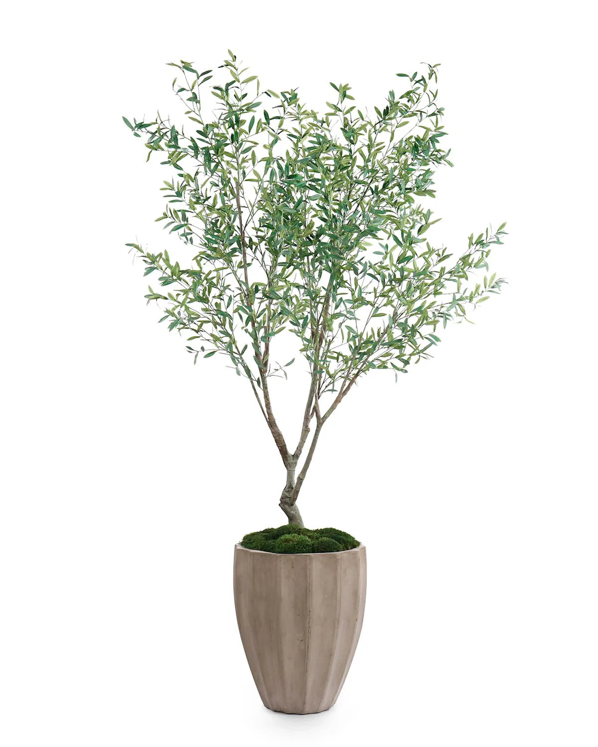 Hill House Living Room | Citrus Mojito